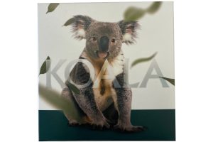 2023 $5 Koala 1 ounce silver high relief coin