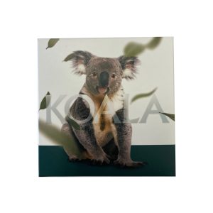 2023 $5 Koala 1 ounce silver high relief coin